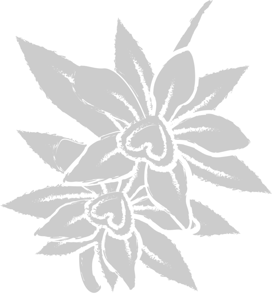 Flowe vector