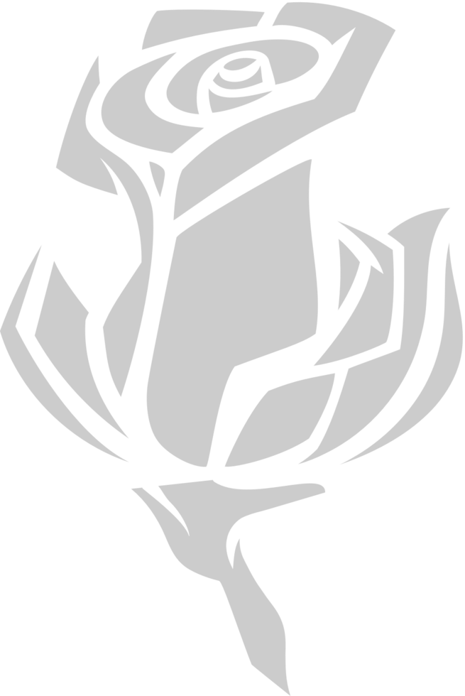 Flower rose vector
