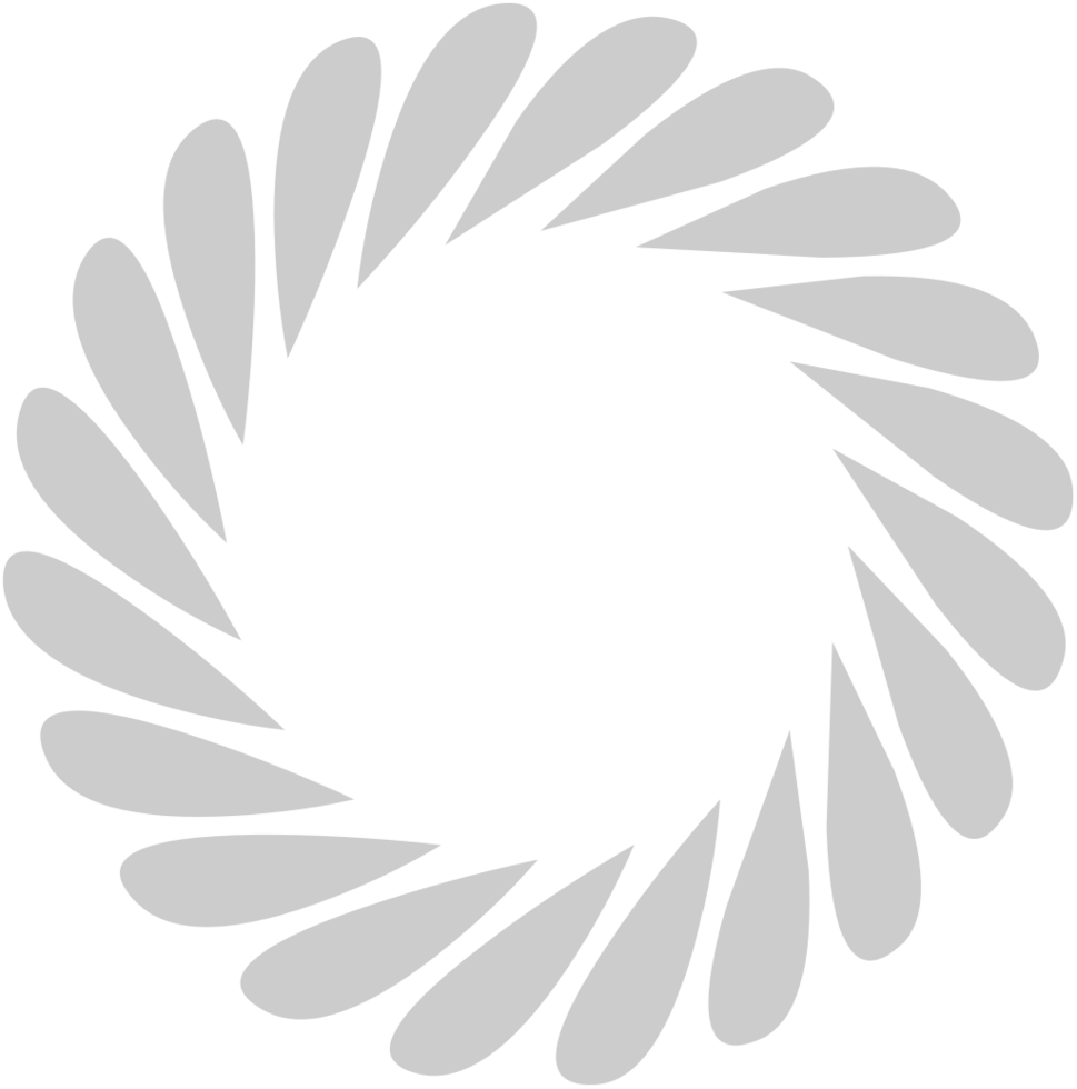 Geometric vector
