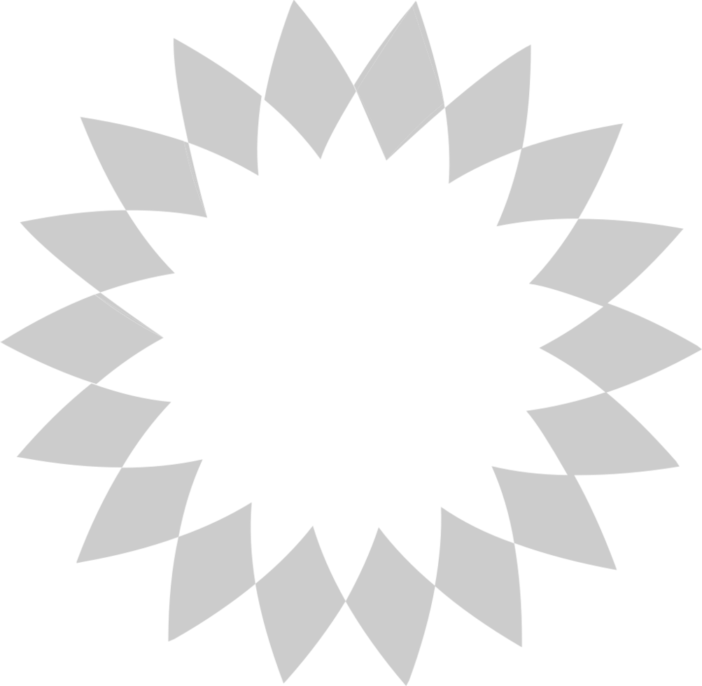 Geometric vector