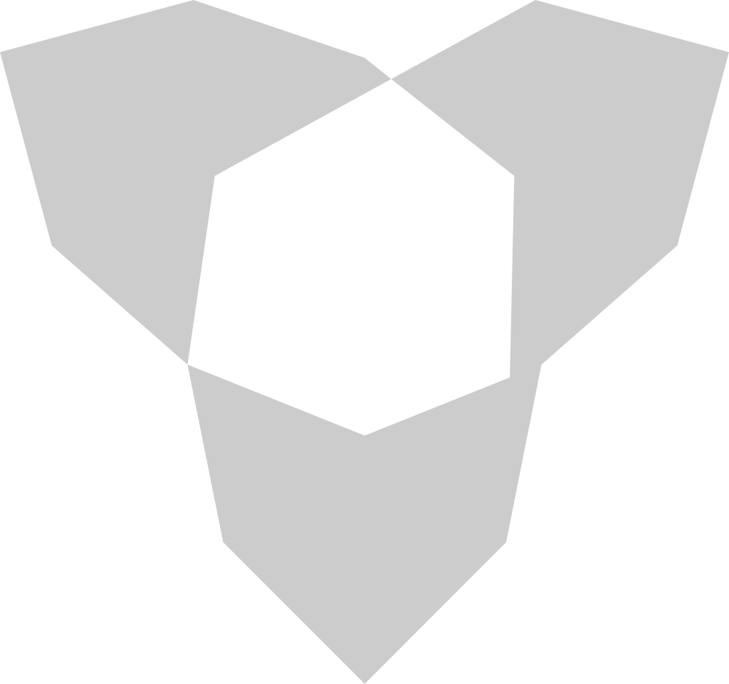 Geometric vector