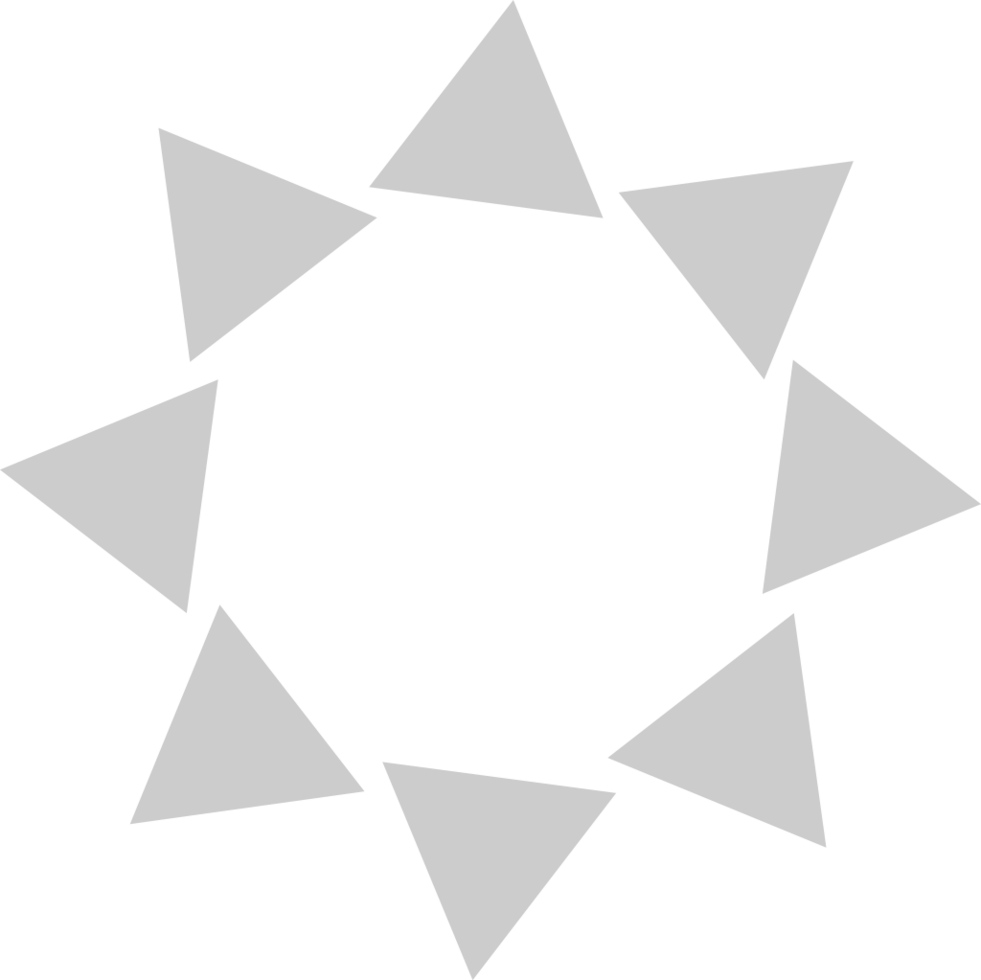 Geometric vector