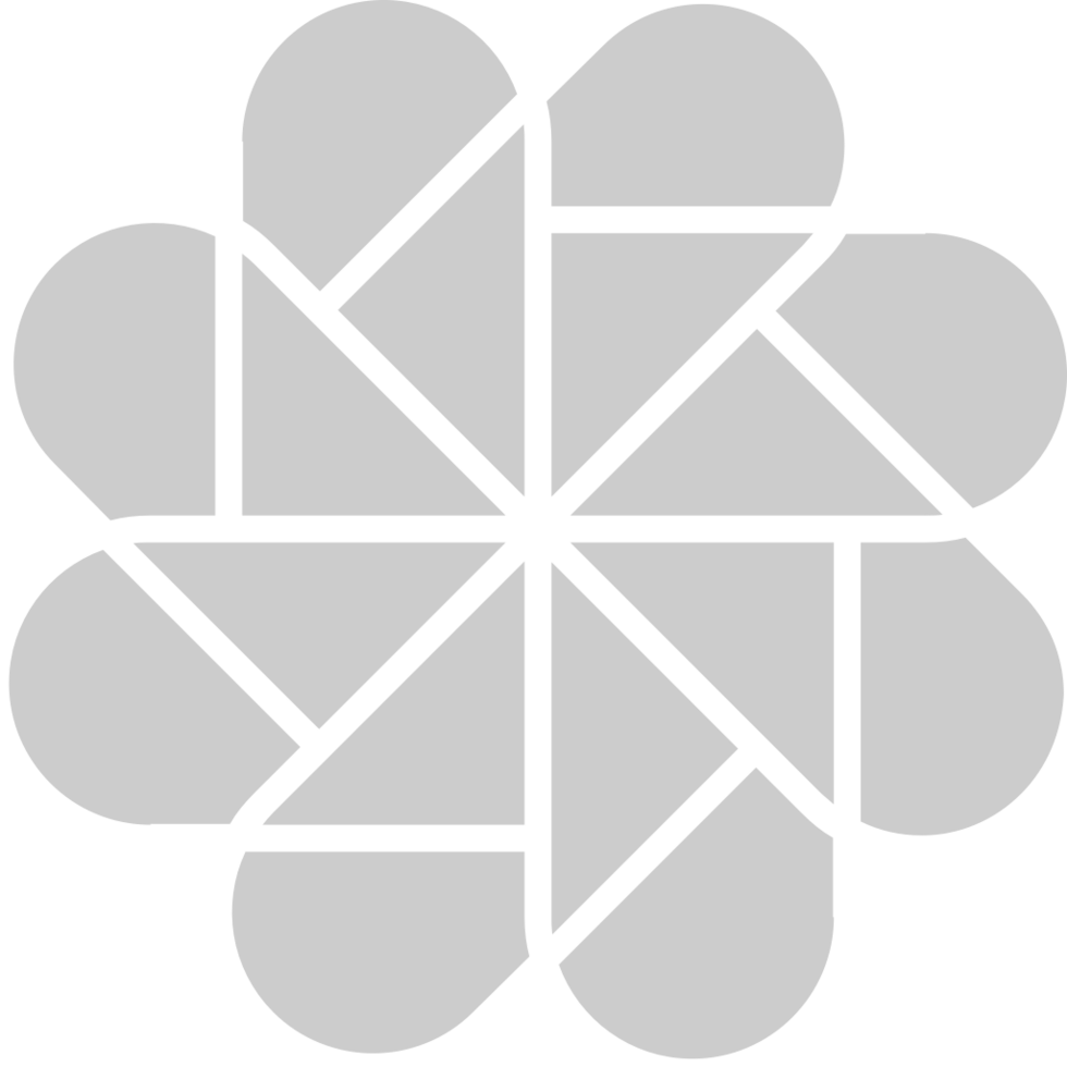 Geometric vector