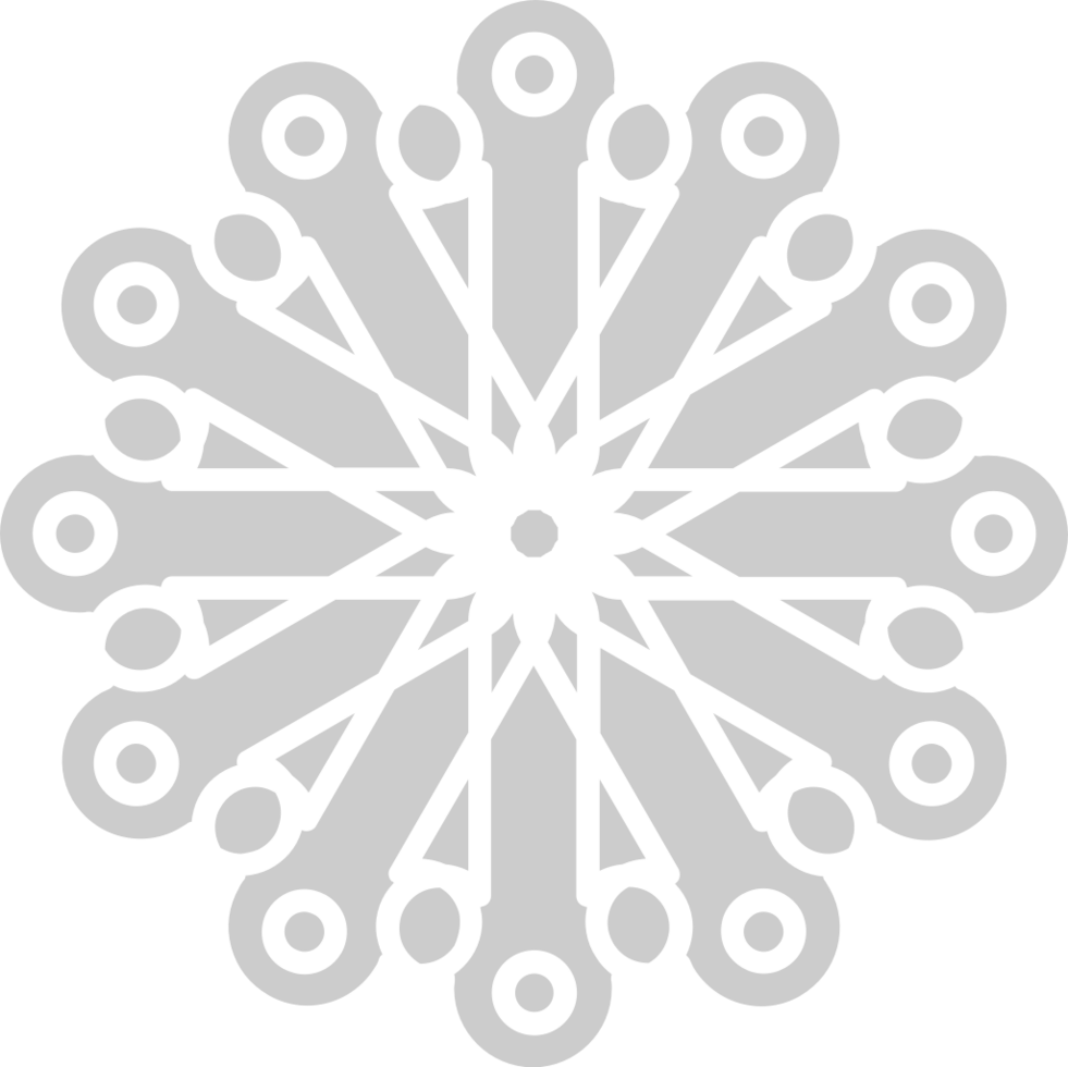 Geometric vector