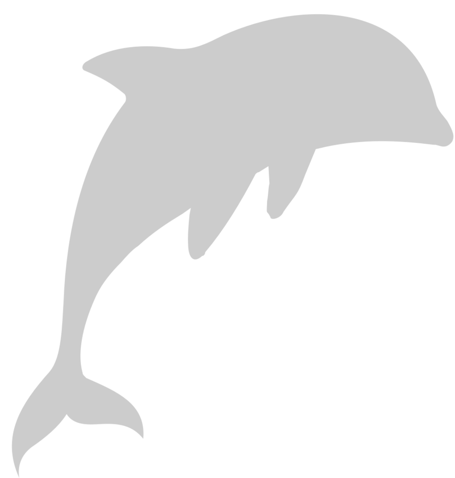 Dolphin jumping vector