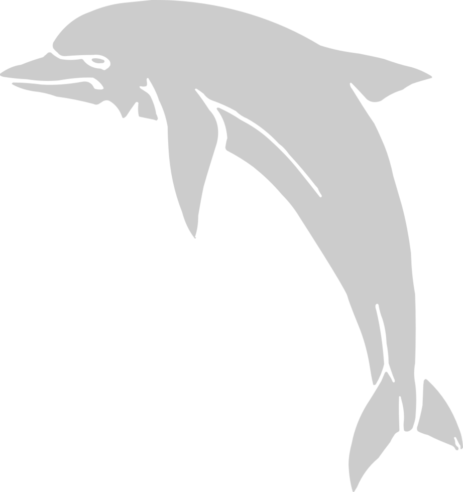 Dolphin vector