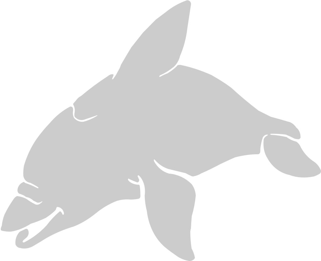 Dolphin vector
