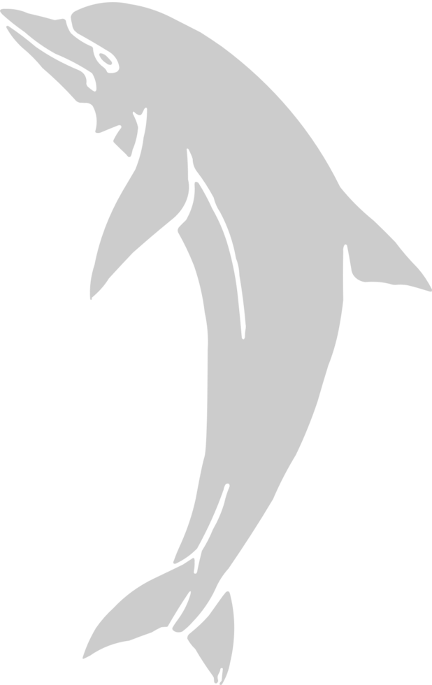 Dolphin jumping vector