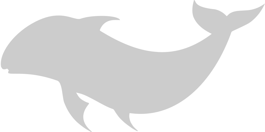 Dolphin vector