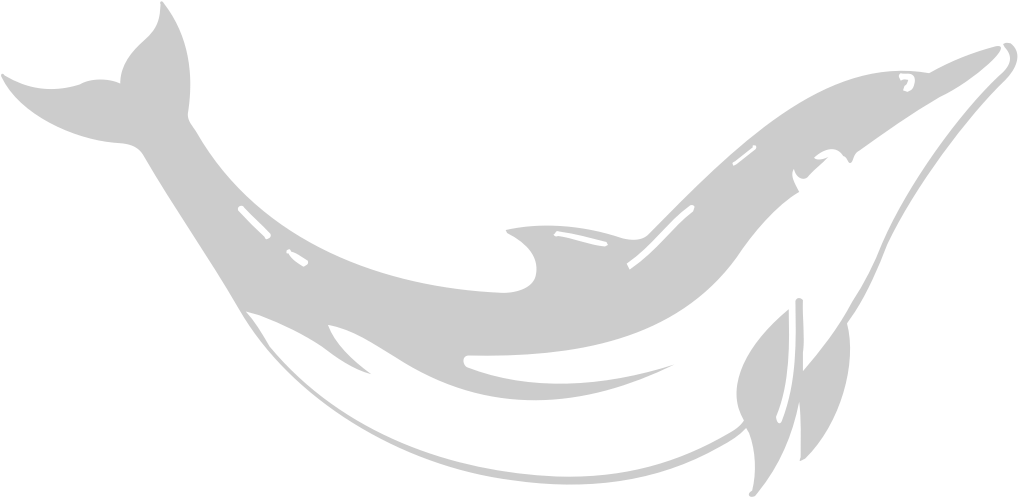 Dolphin vector