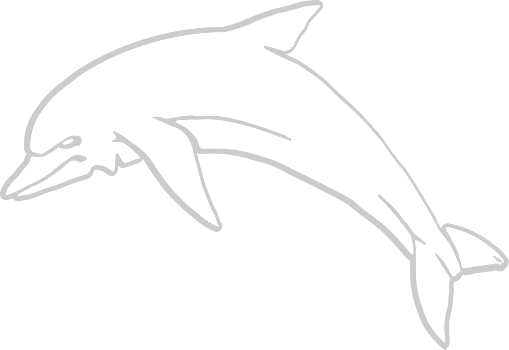 Dolphin outline vector