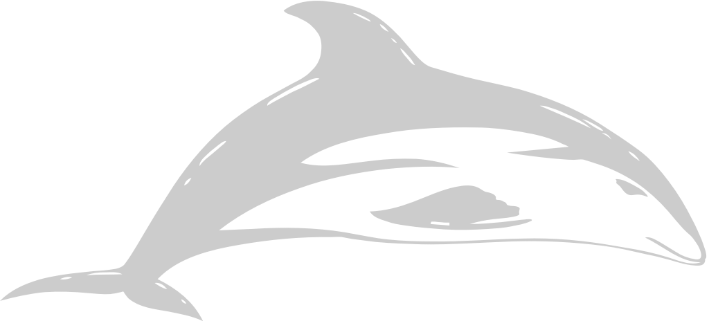 Dolphin vector