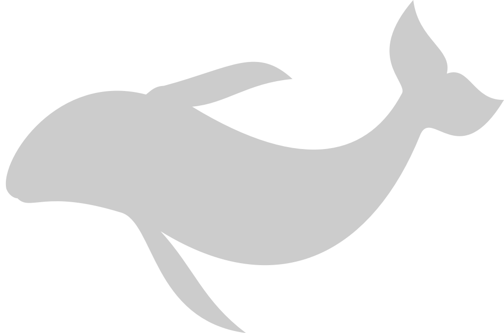 Dolphin vector