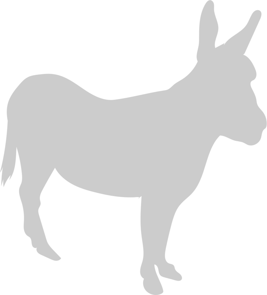 Donkey vector