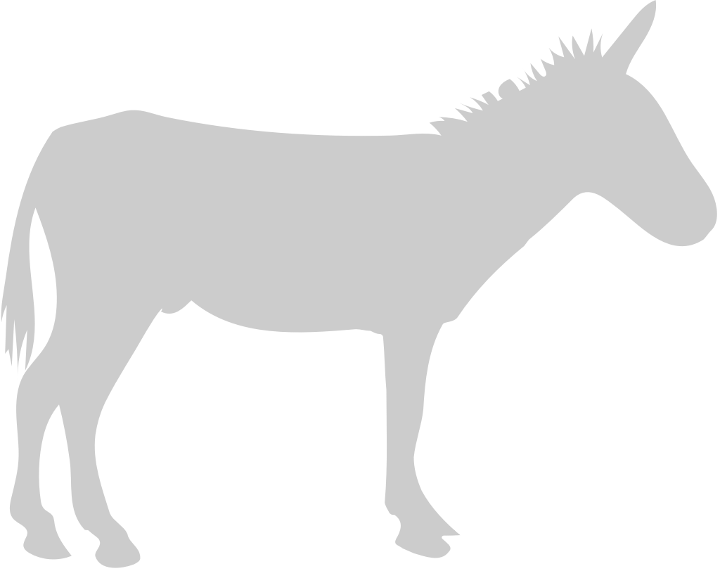 Donkey vector