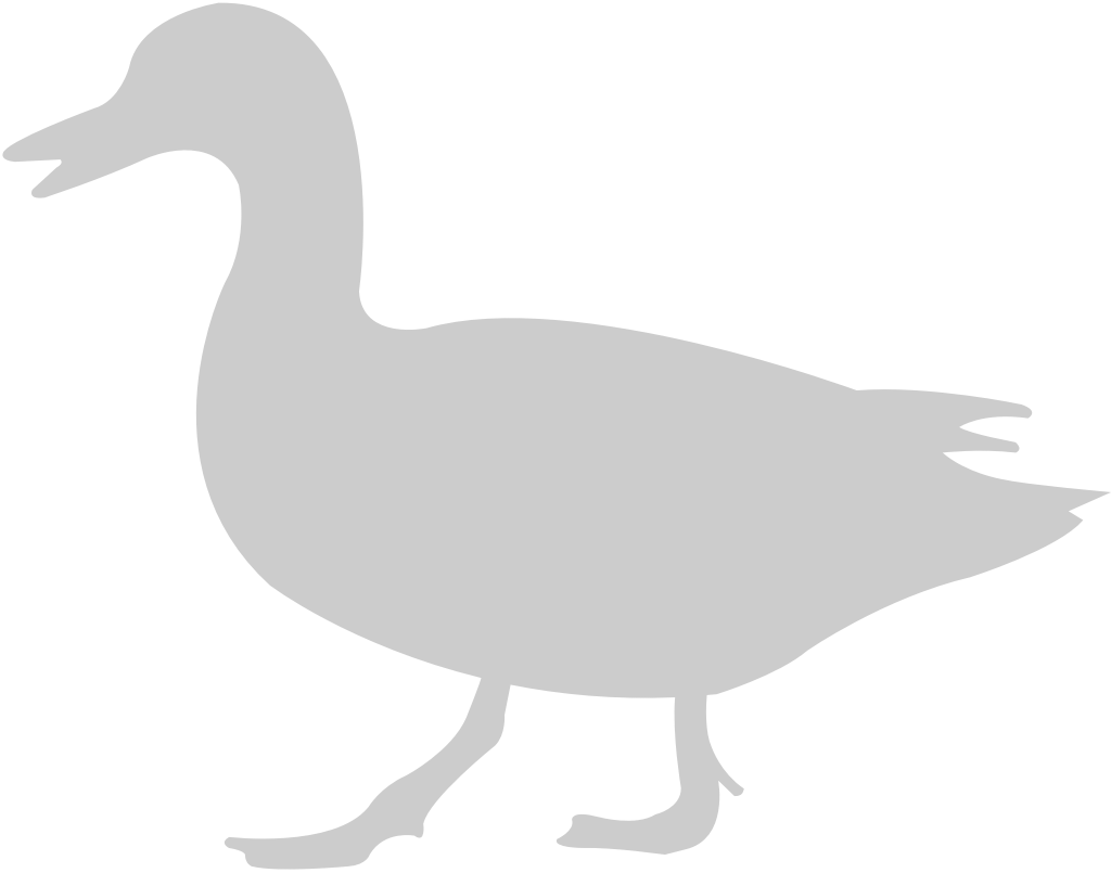 Duck walking vector