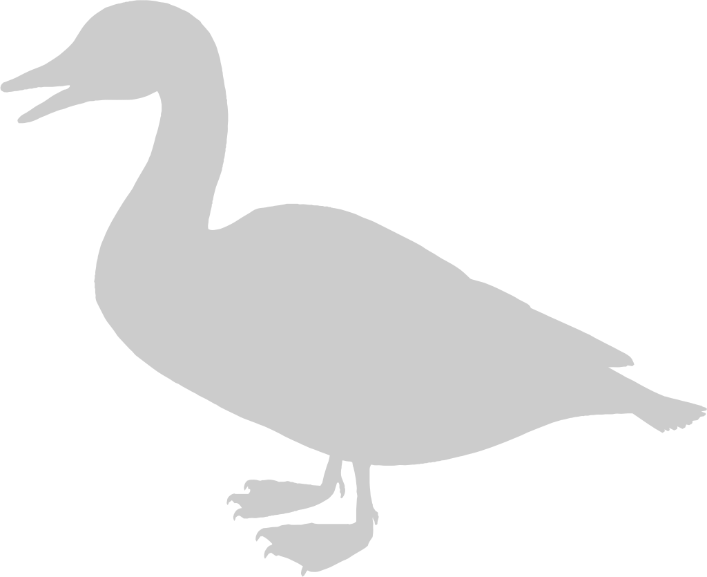 Duck vector