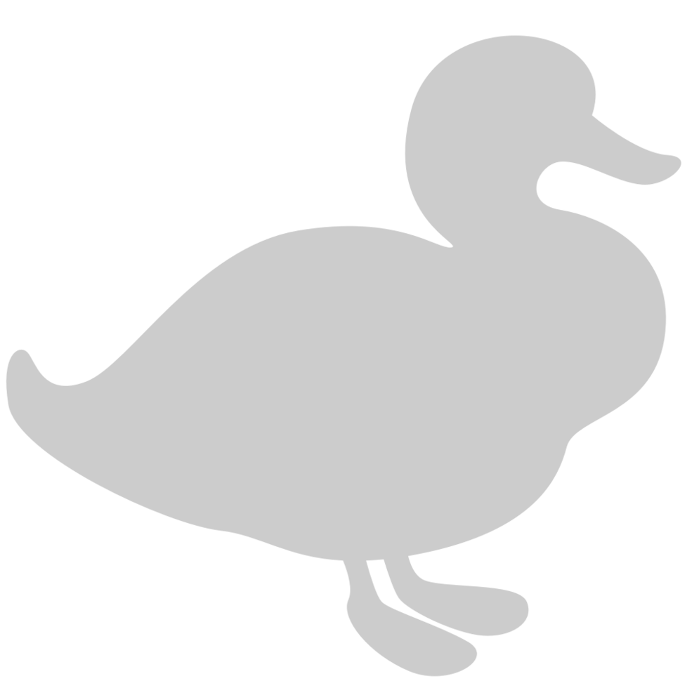 Duck vector