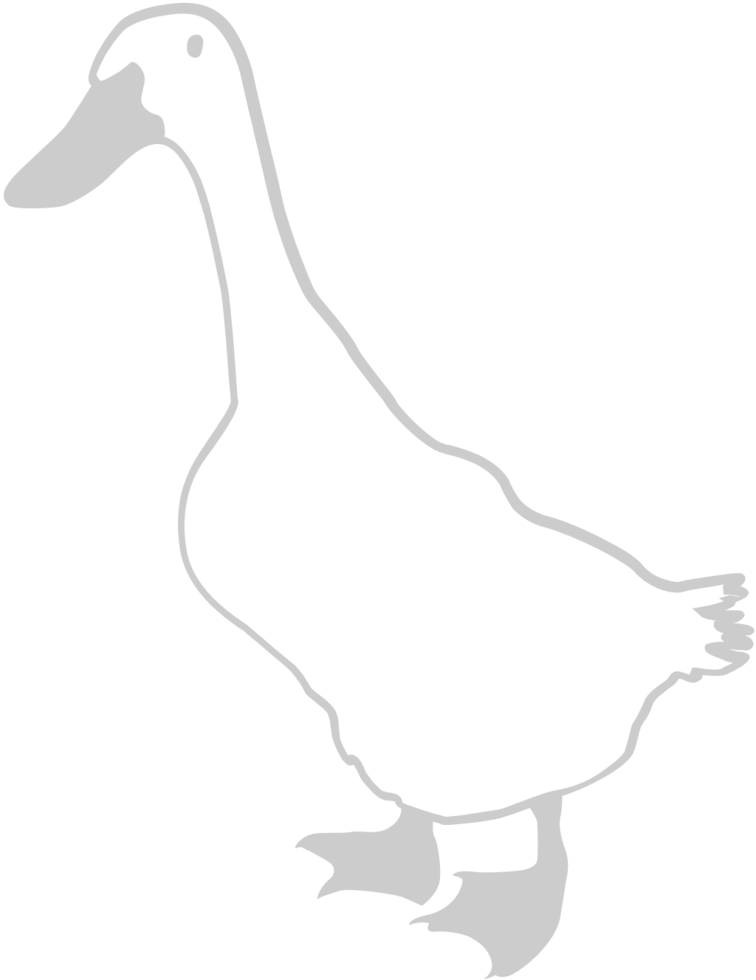 Duck outline vector