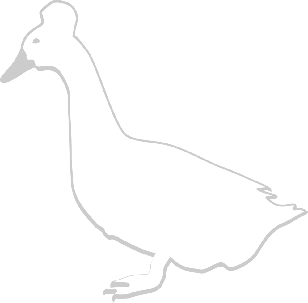 Duck outline vector