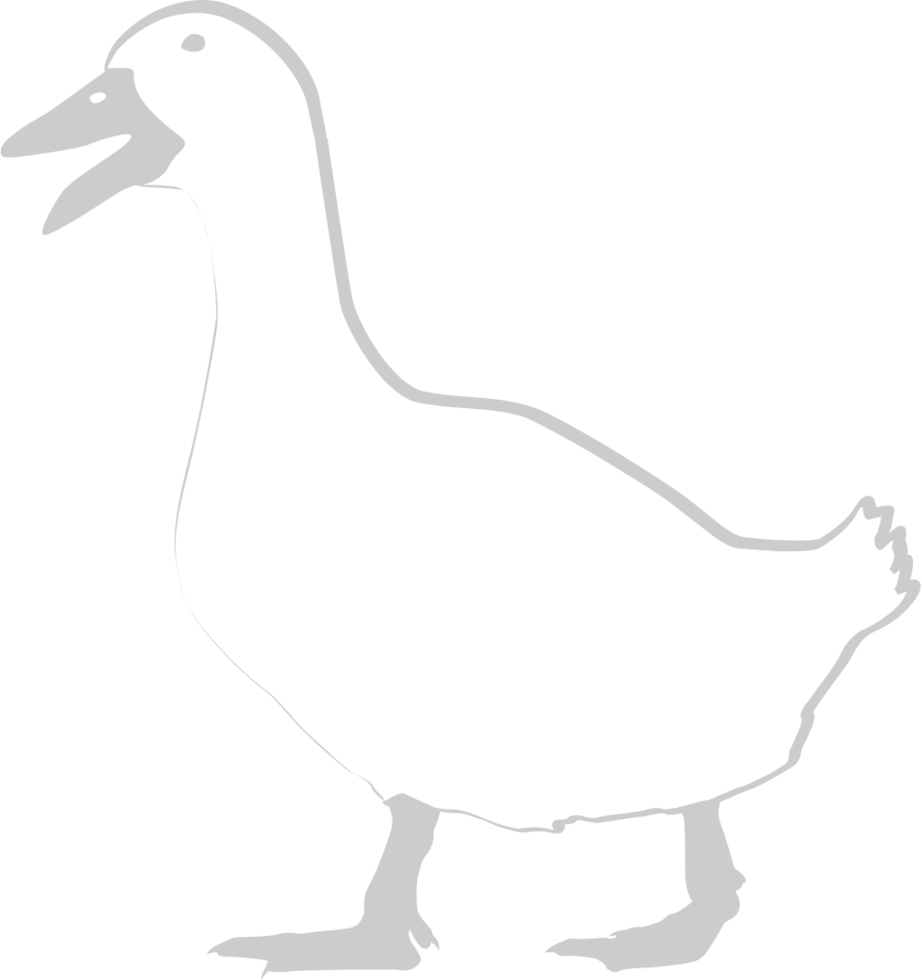 Duck outline vector