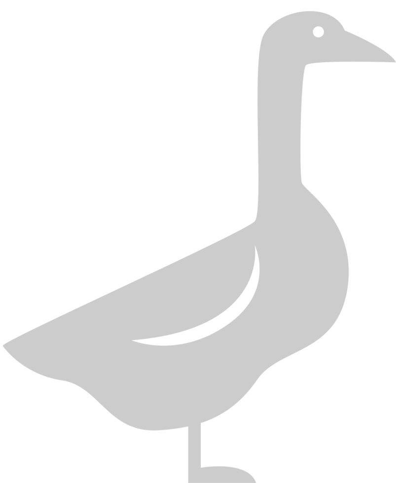 Duck vector