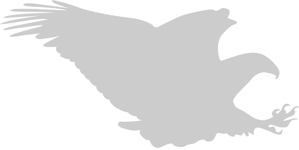Eagle hunting vector