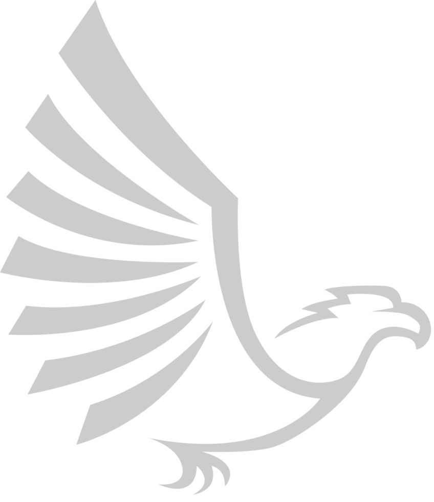 Eagle logo vector