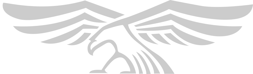 Eagle logo vector