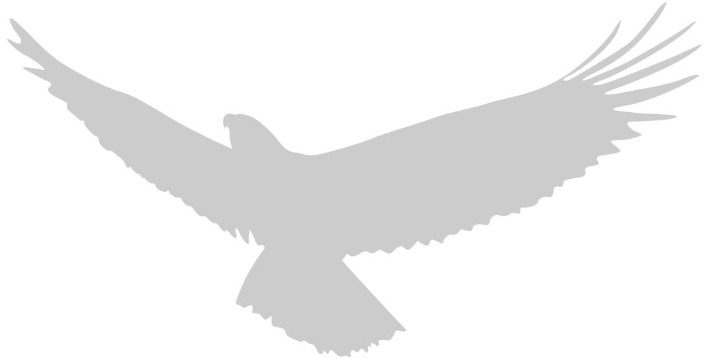 Eagle flying vector