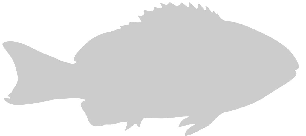 Fish 36631155 Vector Art at Vecteezy