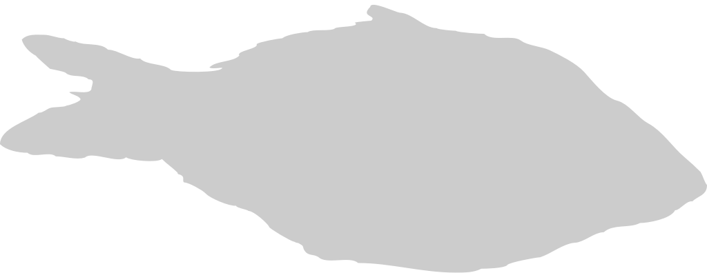 Fish vector