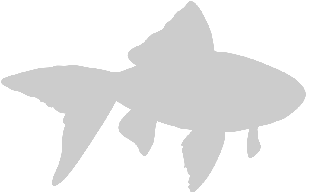 Fish 36631159 Vector Art at Vecteezy