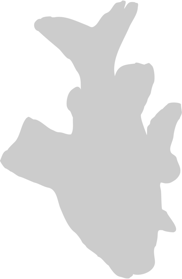 Fish vector