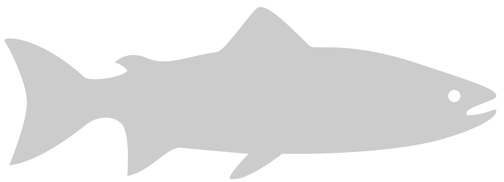 Fish 36631178 Vector Art at Vecteezy