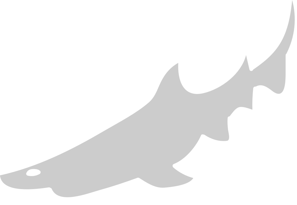 Fish 36631183 Vector Art at Vecteezy