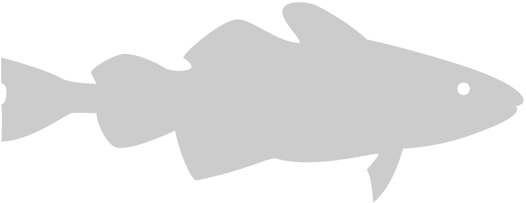 Fish vector