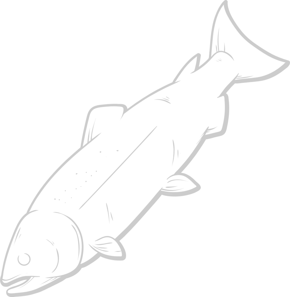 Fish vector