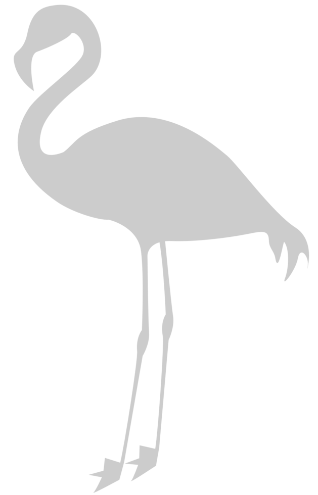 Flamingo vector