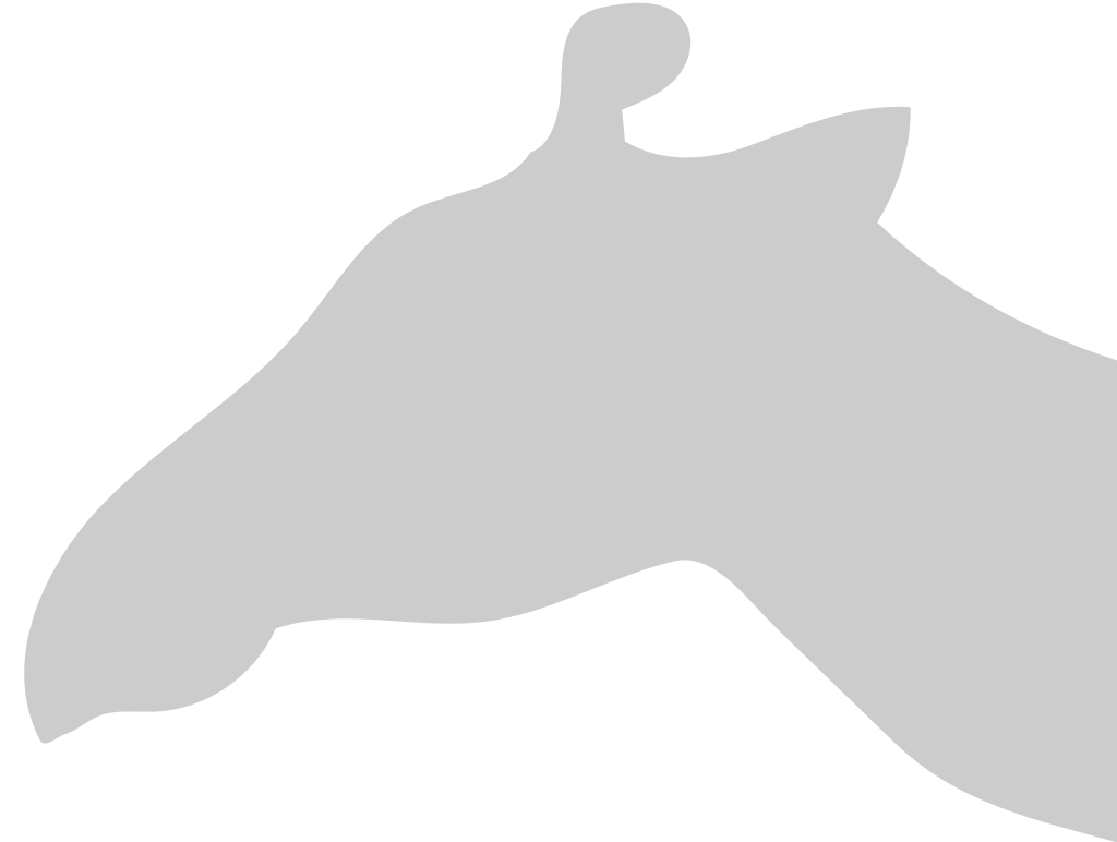 Giraffe head vector