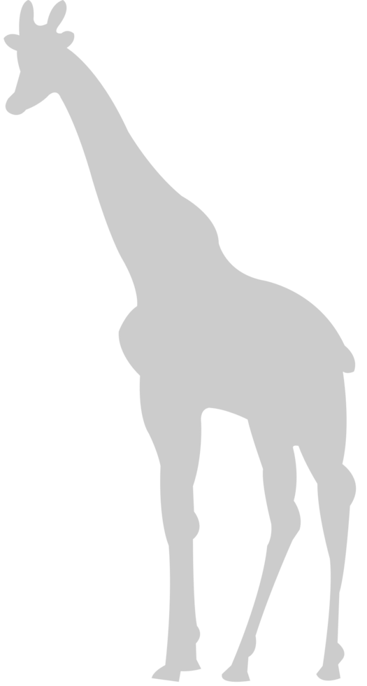 Giraffe vector
