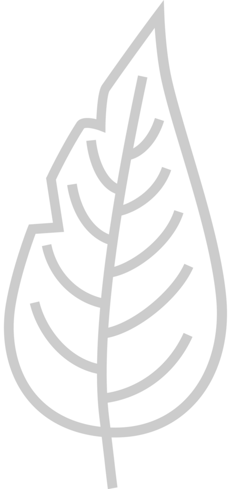 Leaf vector
