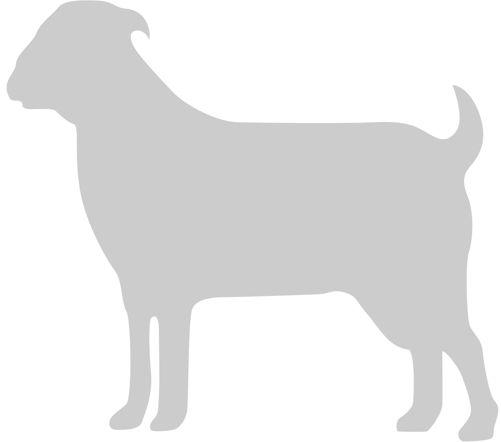 Goat vector