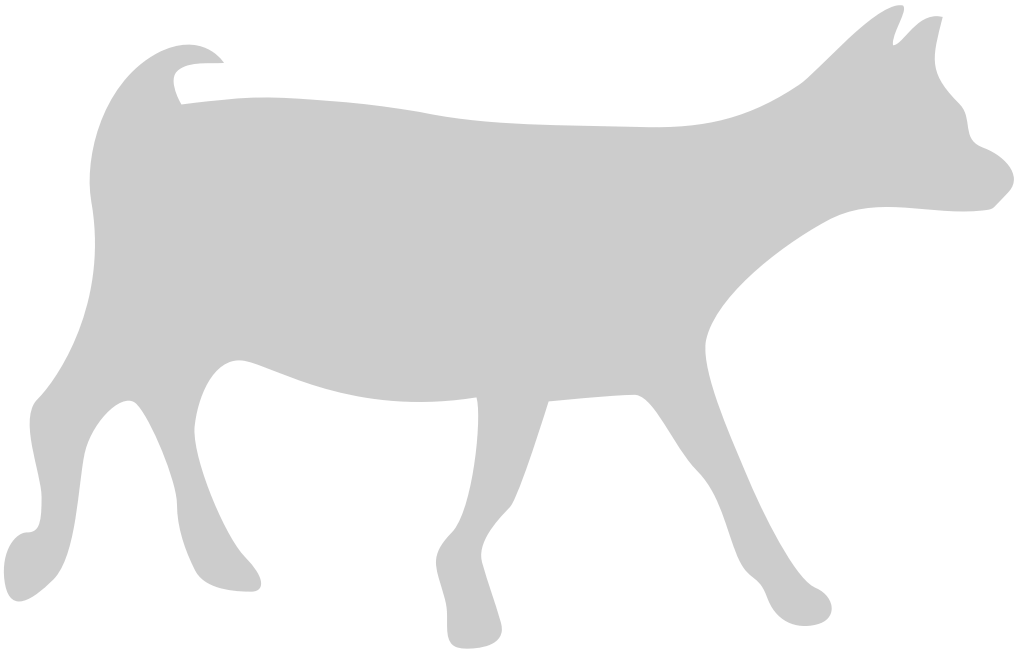 Goat vector