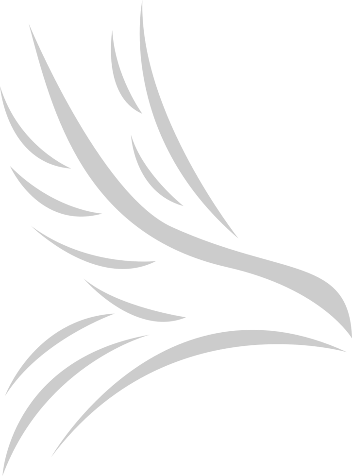 Hawk Tribal vector