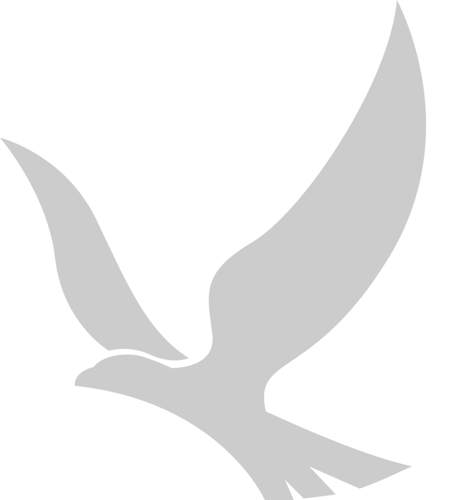 Hawk vector
