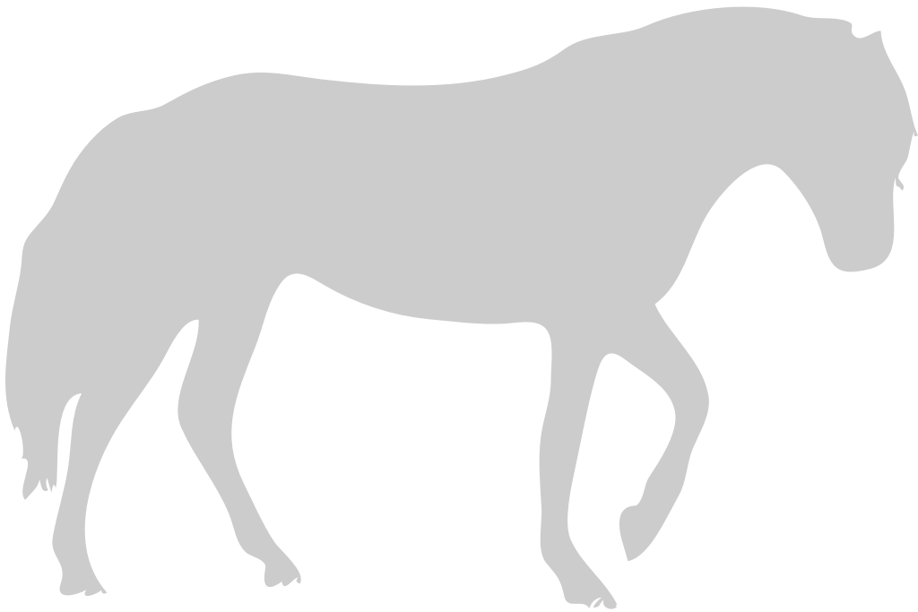 Horse vector