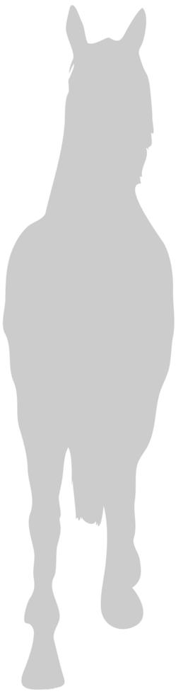 Horse vector