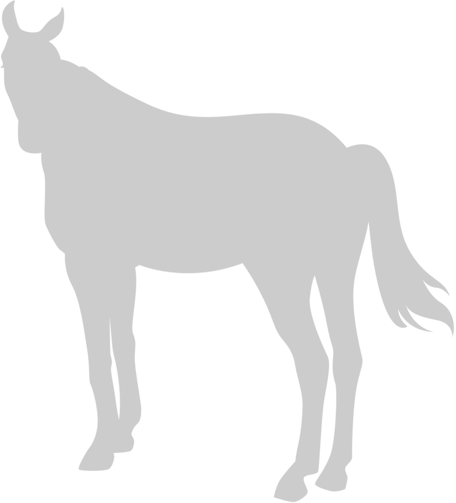Horse vector