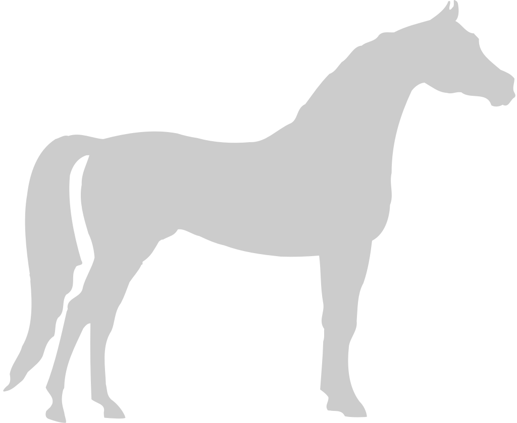 Horse vector